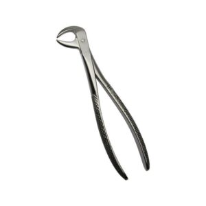 Cow Horn Forcep (Lower)